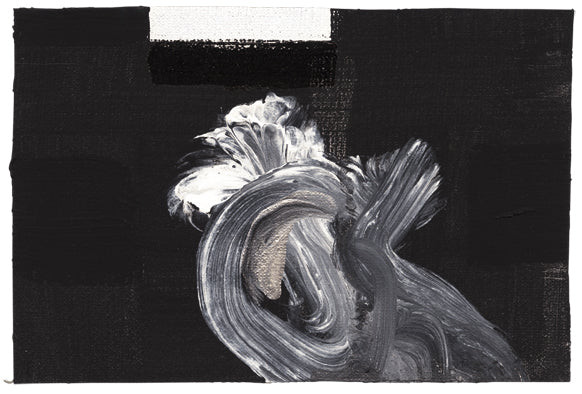 Salvatore Garau. Variazioni in bianco e nero