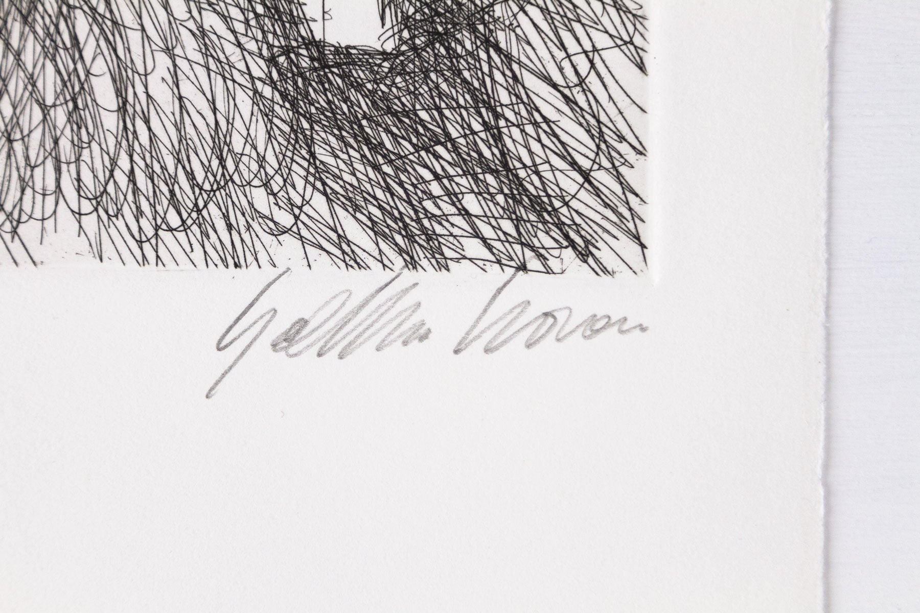 Poesie | Verde