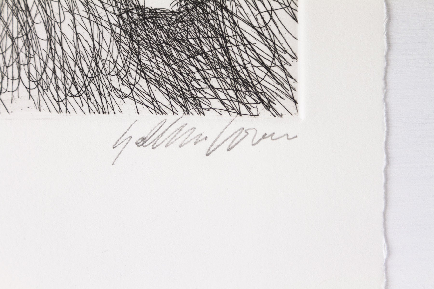 Poesie | Giallo