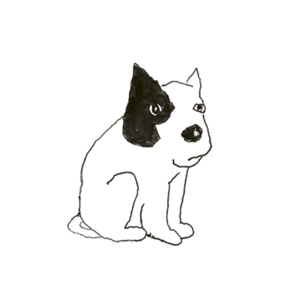 Dogs Are Just Like Us