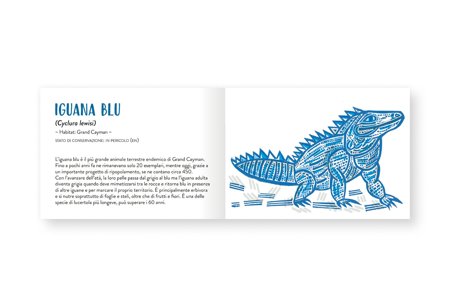 Il piccolo libro degli animali blu
