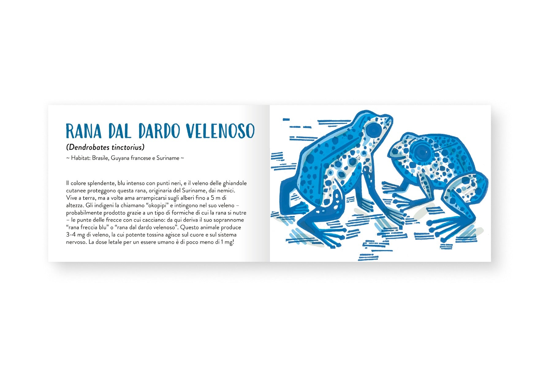 Il piccolo libro degli animali blu