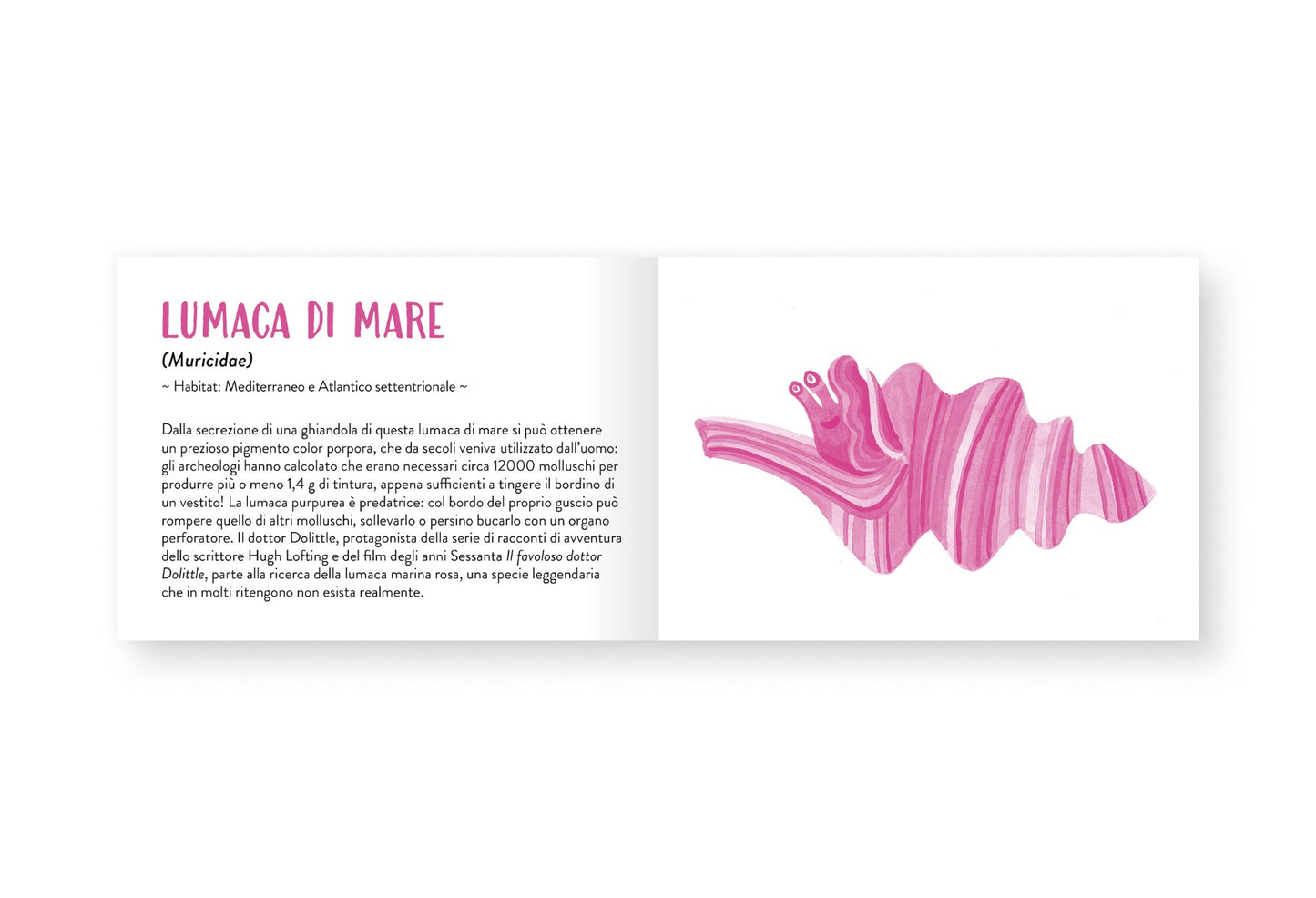 Il piccolo libro degli animali rosa
