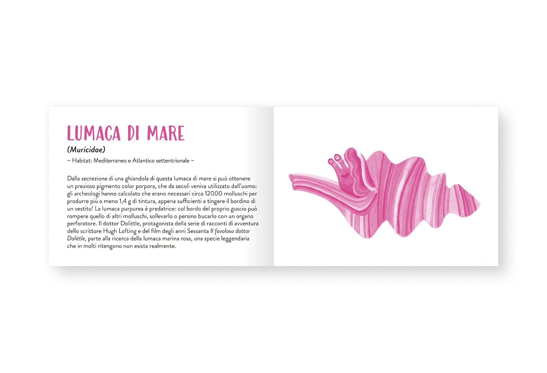 Il piccolo libro degli animali rosa