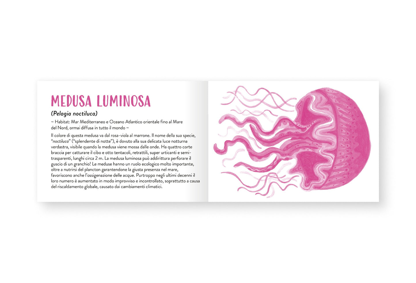 Il piccolo libro degli animali rosa
