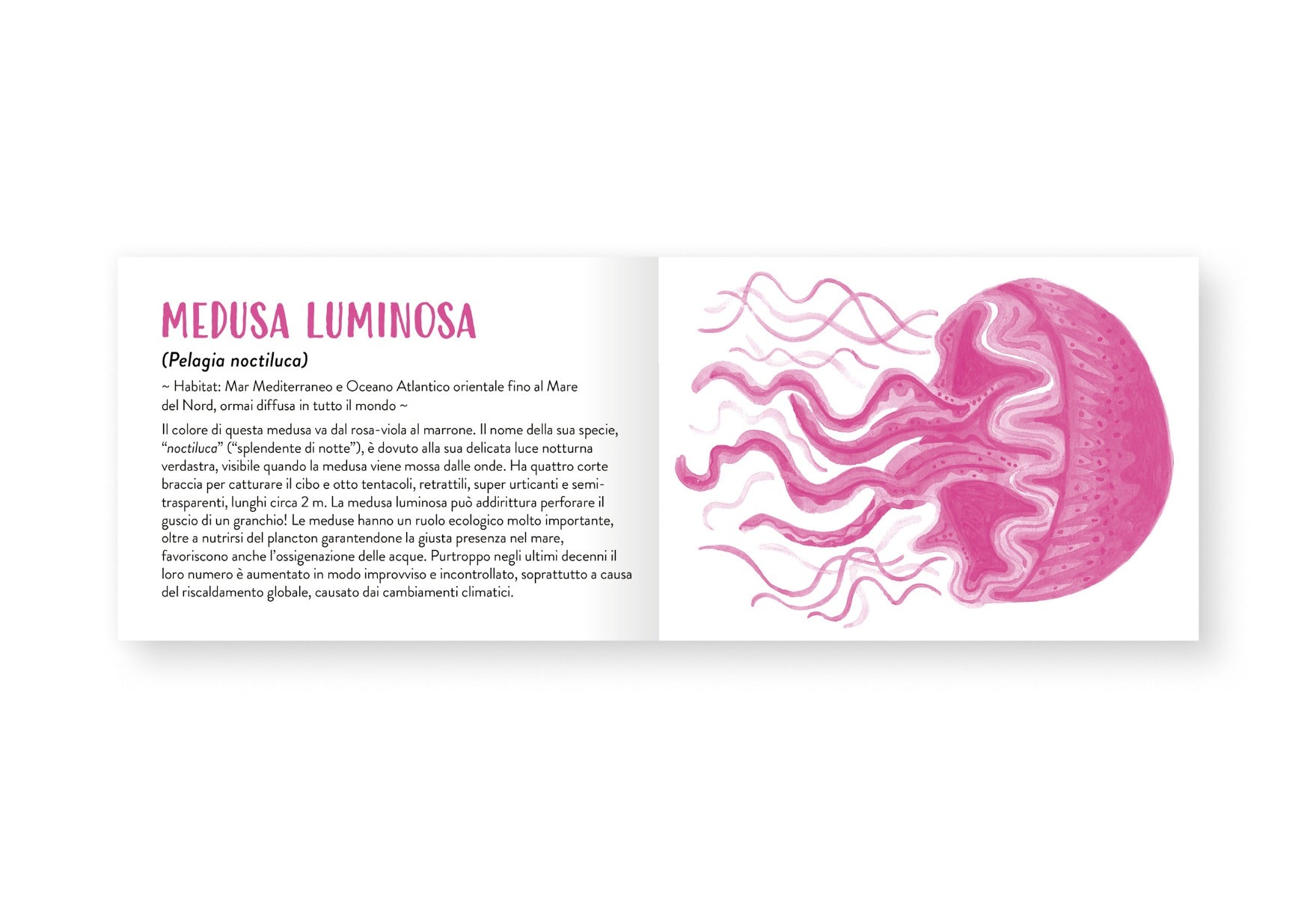 Il piccolo libro degli animali rosa