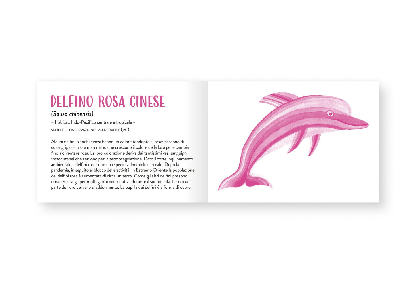 Il piccolo libro degli animali rosa