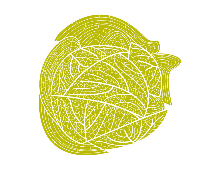 Herbarium taste