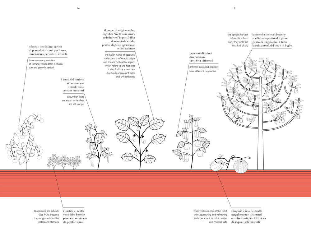 Herbarium taste
