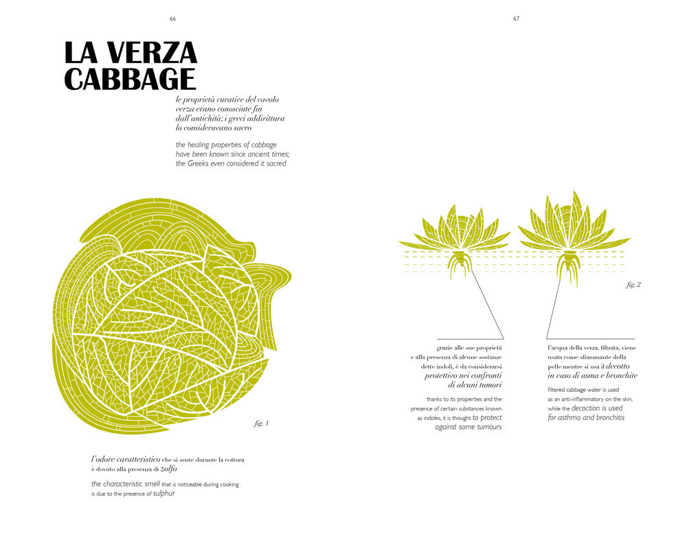 Herbarium taste
