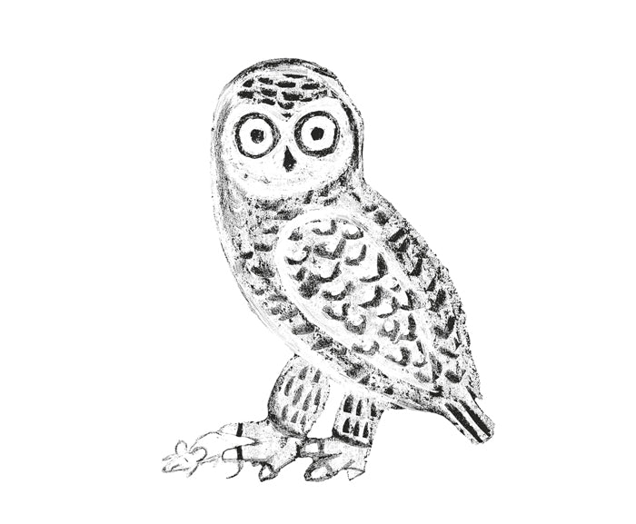 Il piccolo libro degli animali bianchi
