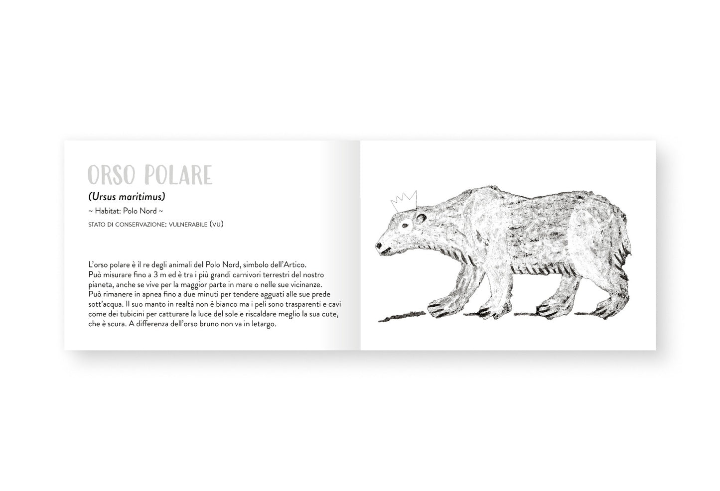 Il piccolo libro degli animali bianchi