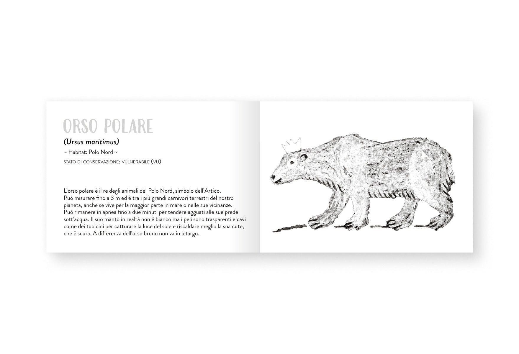 Il piccolo libro degli animali bianchi