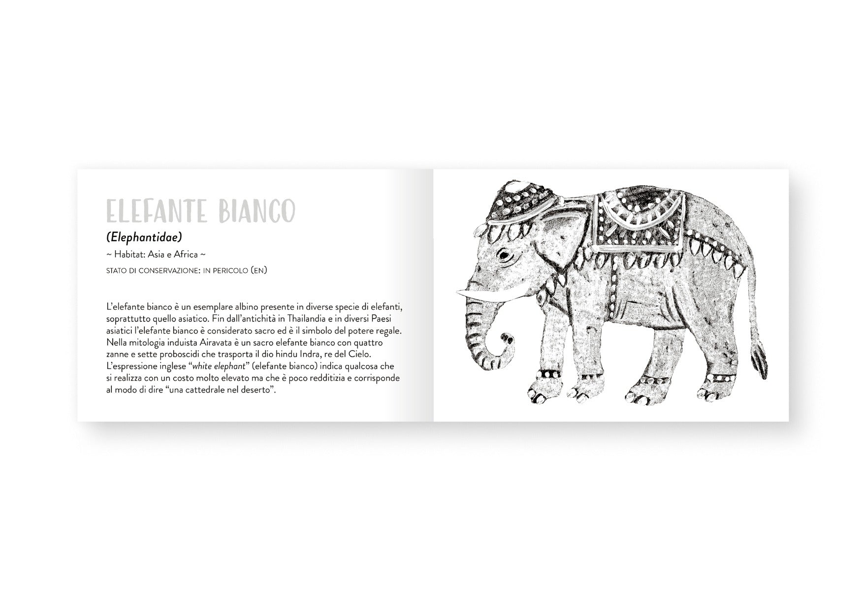 Il piccolo libro degli animali bianchi