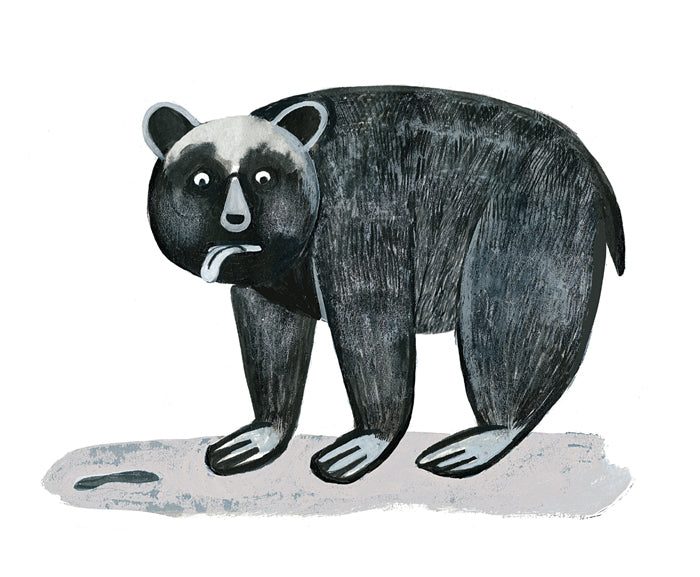 Il piccolo libro degli animali neri