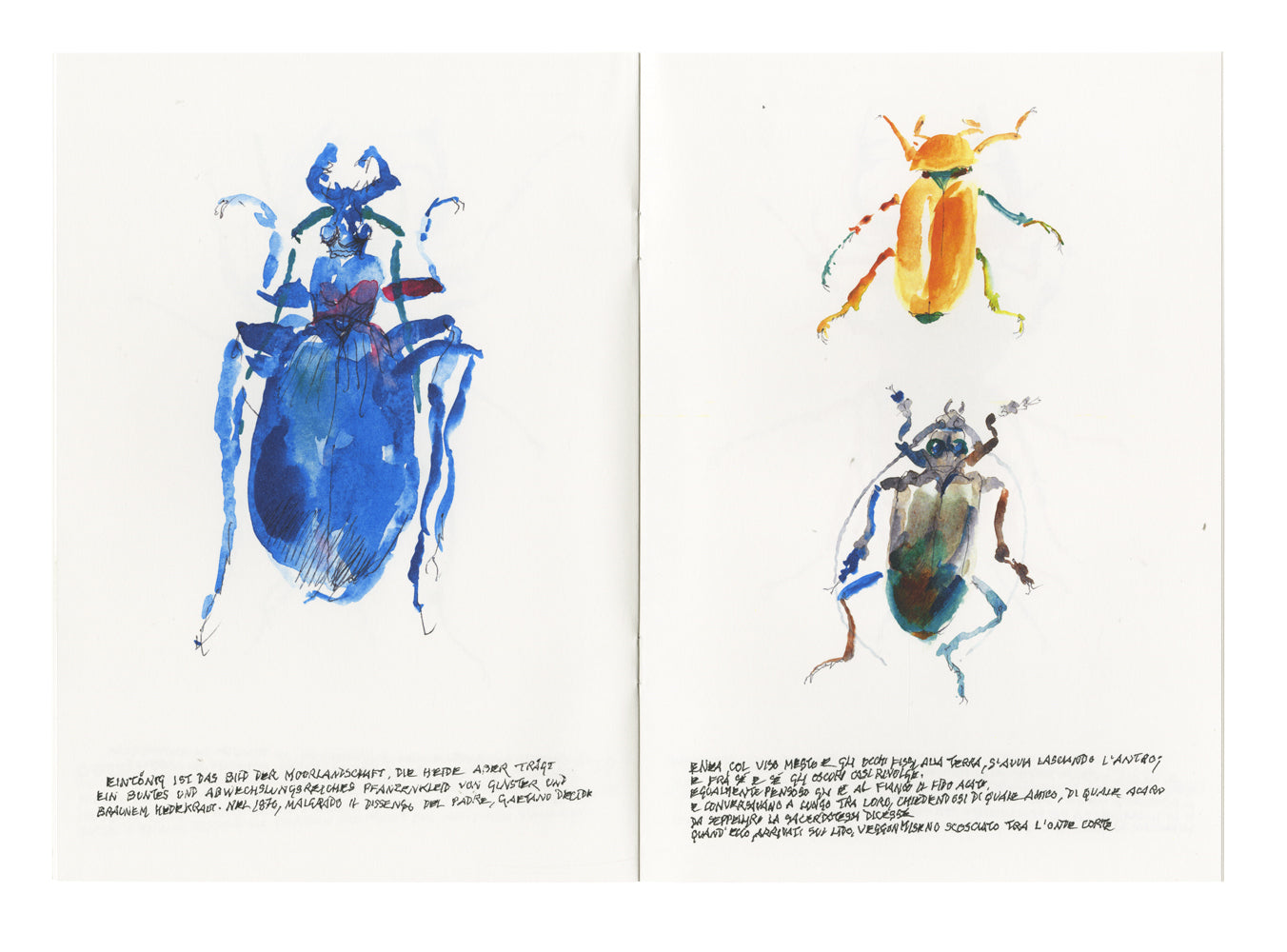 Un Sedicesimo 38