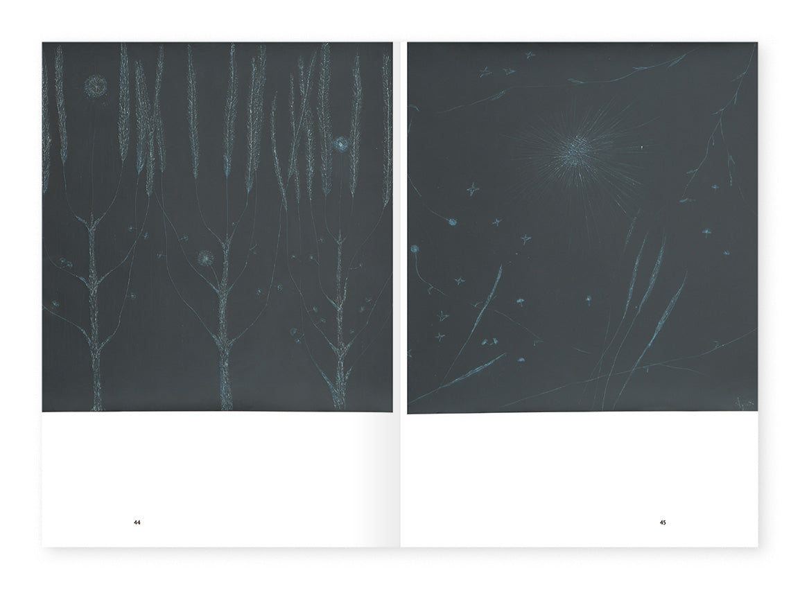 Archivio 02