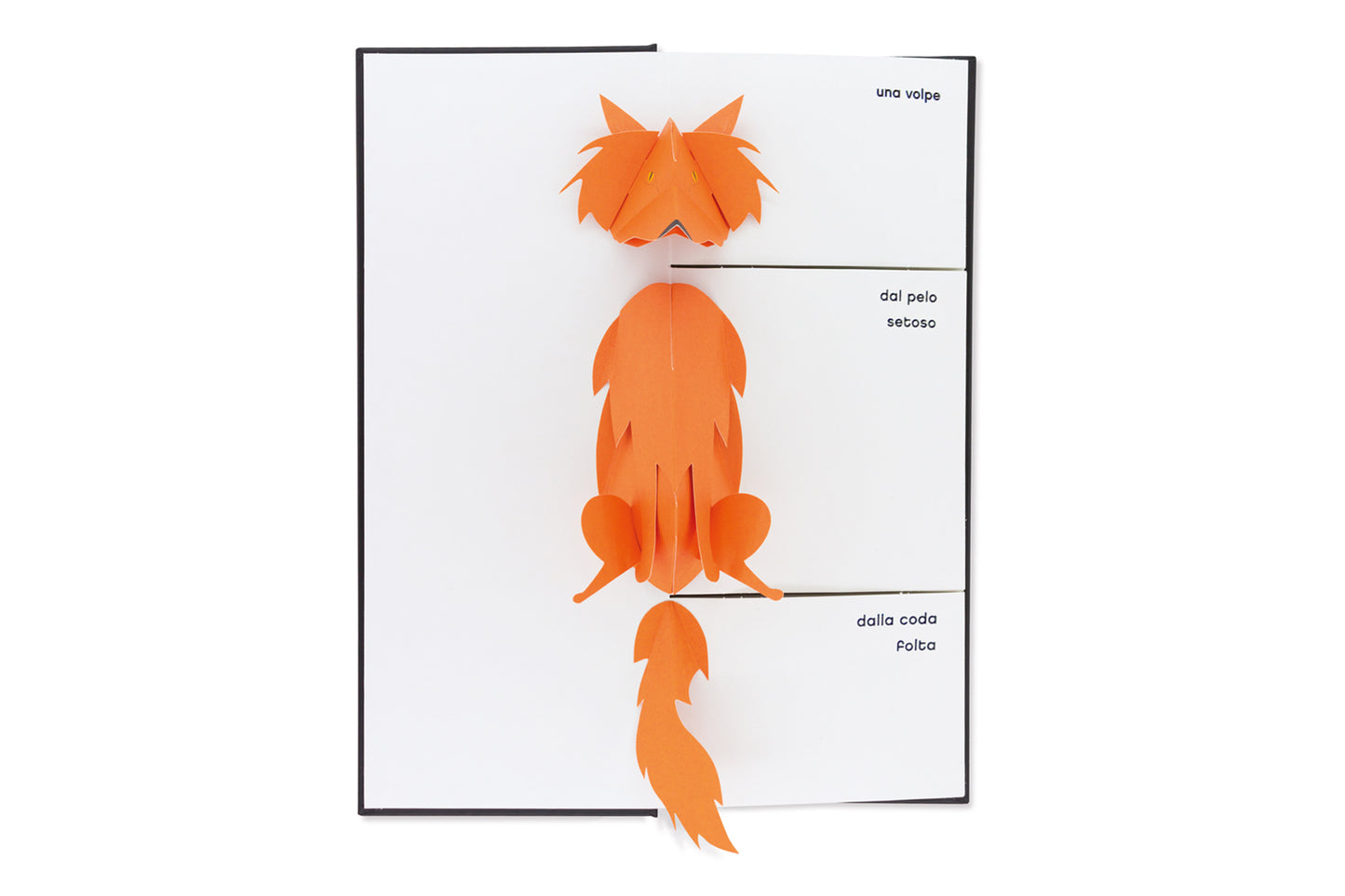 Bestiario pop-up
