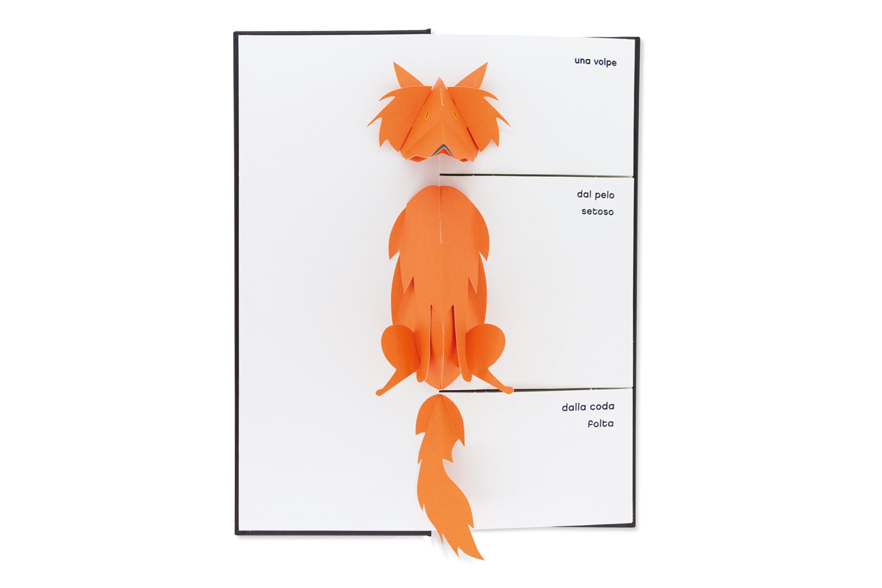 Bestiario pop-up