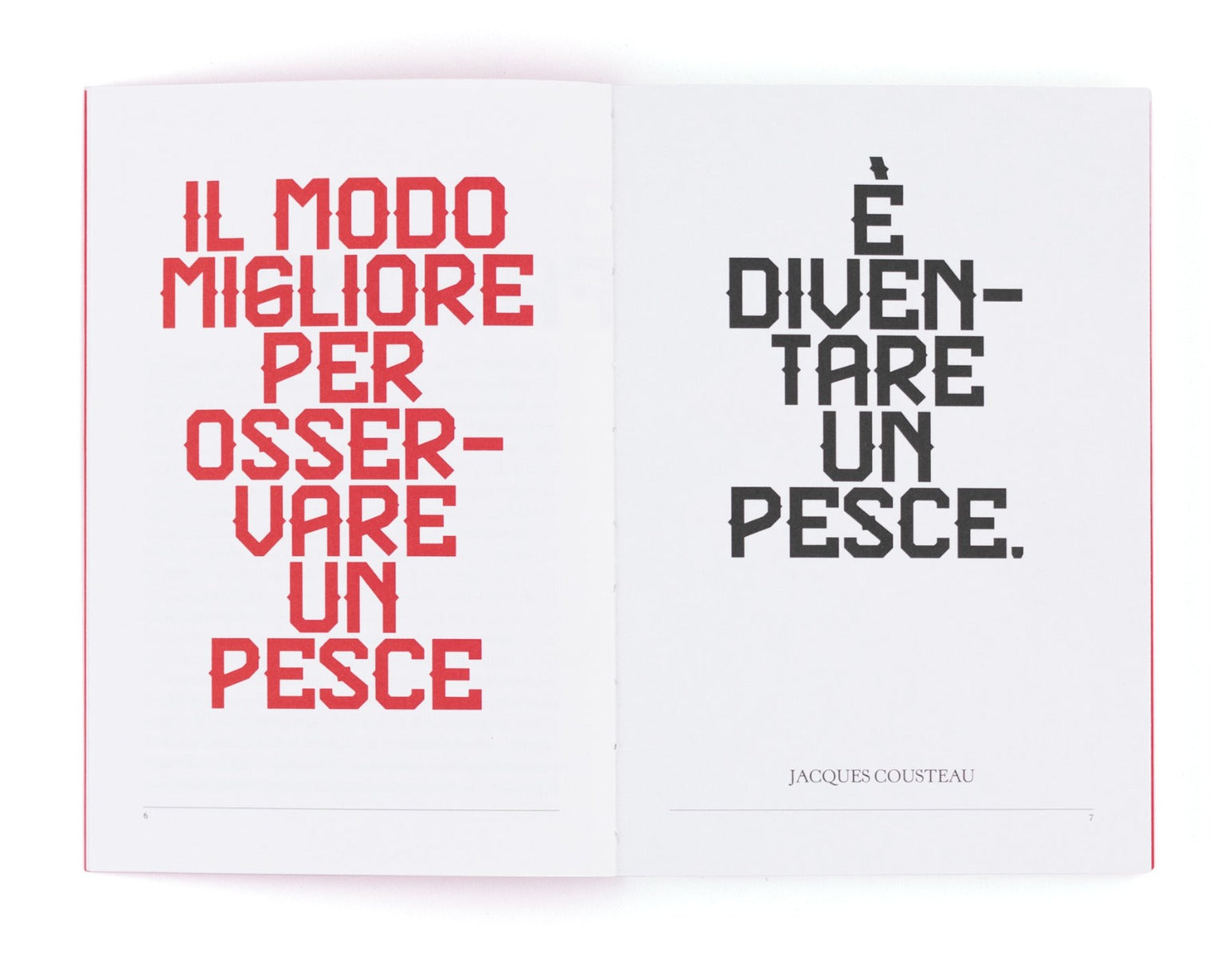 Il perfetto dilettante