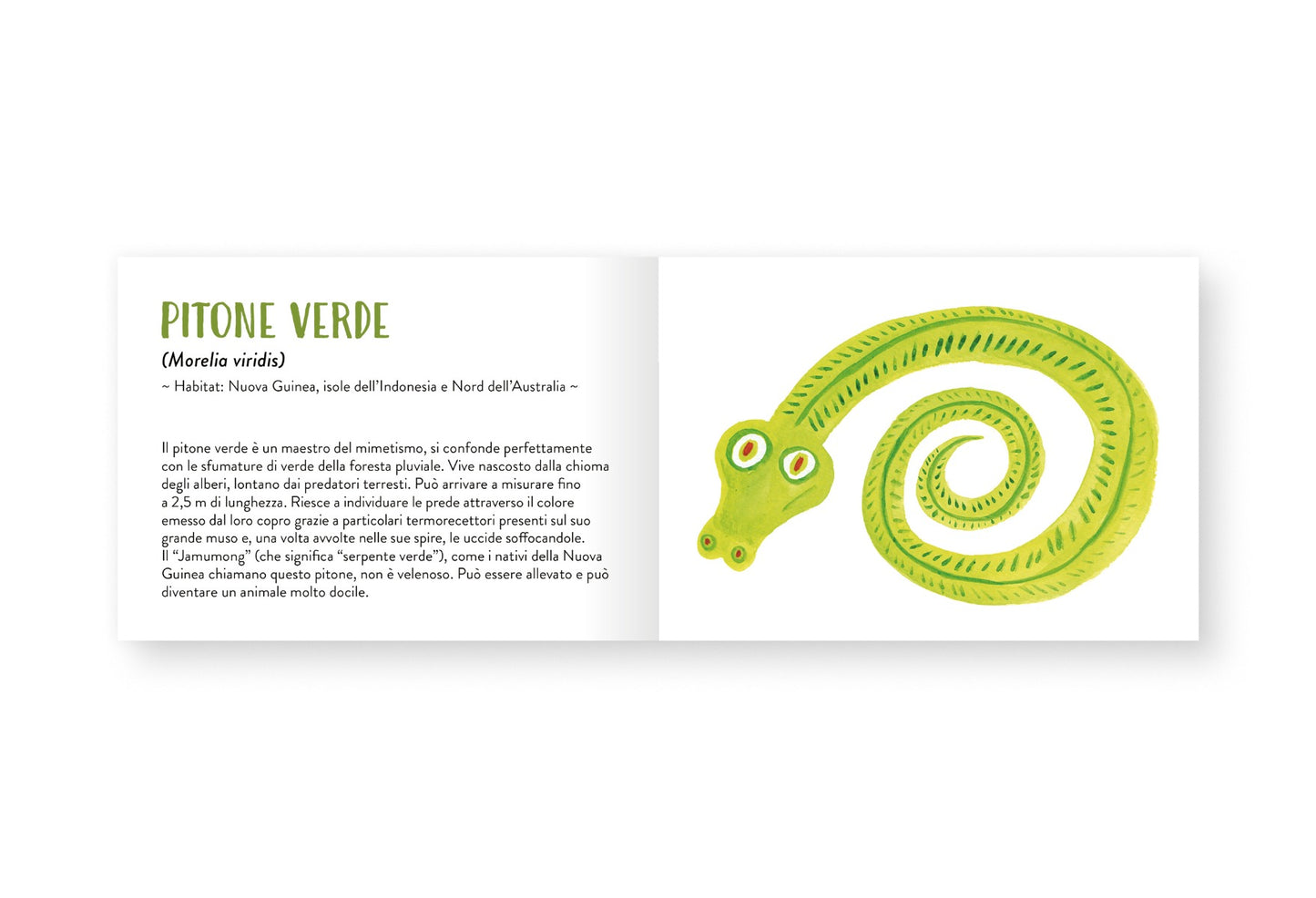 Il piccolo libro degli animali verdi