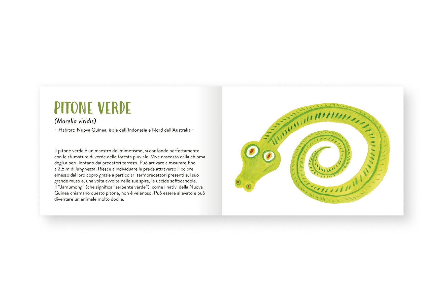 Il piccolo libro degli animali verdi