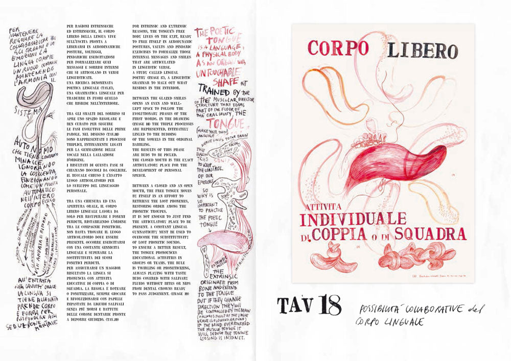 Lezioni di anato-mia