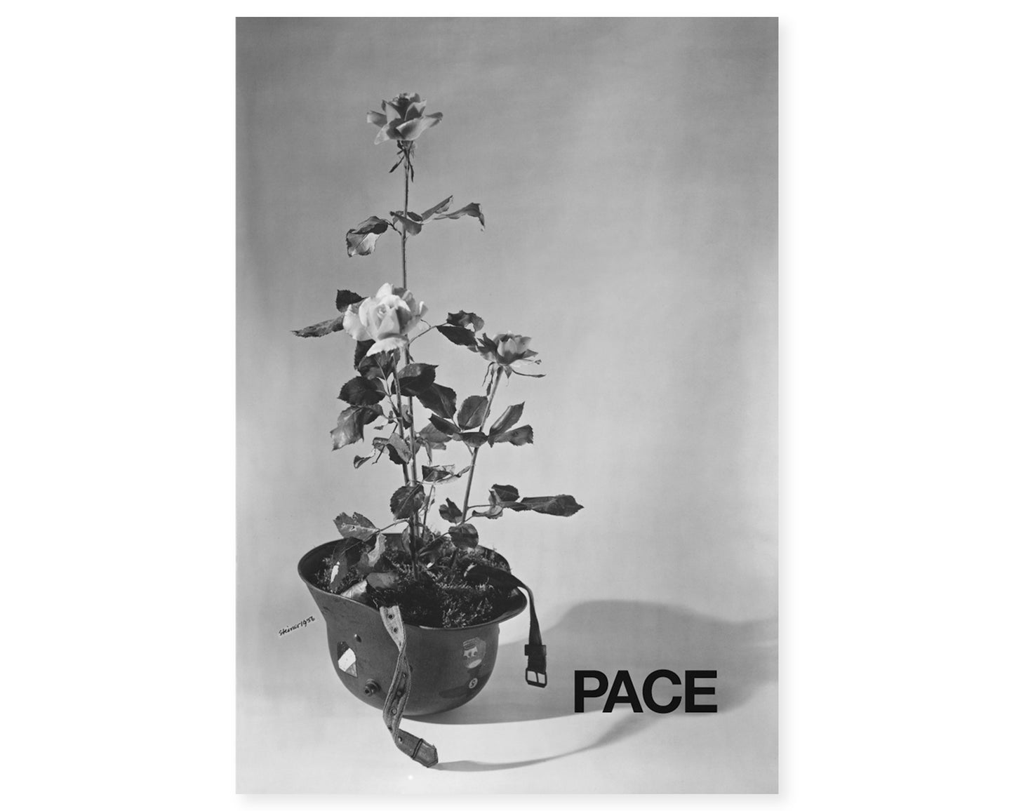 Manifesto per la Pace 1956-2004