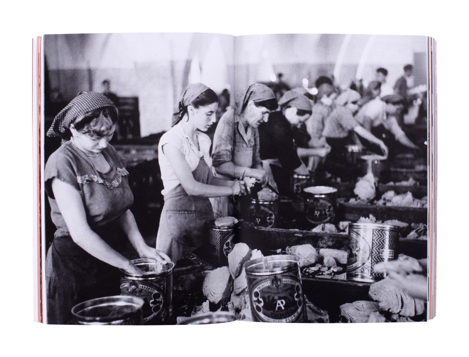 Foto/Industria 2021: Food