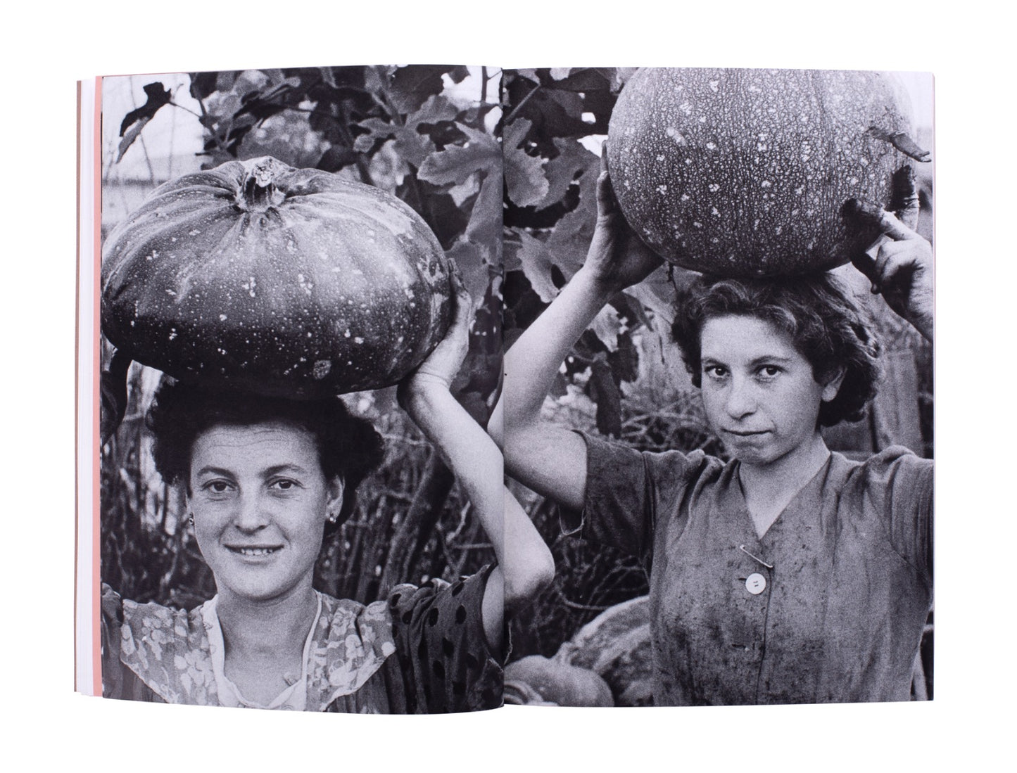 Foto/Industria 2021: Food