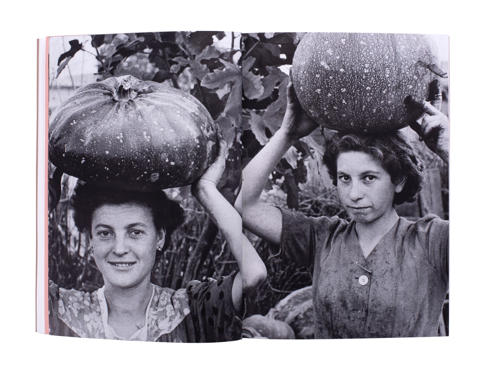 Foto/Industria 2021: Food