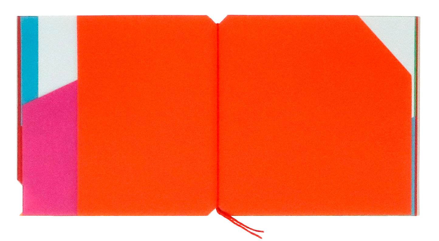 Libro illeggibile MN 1
