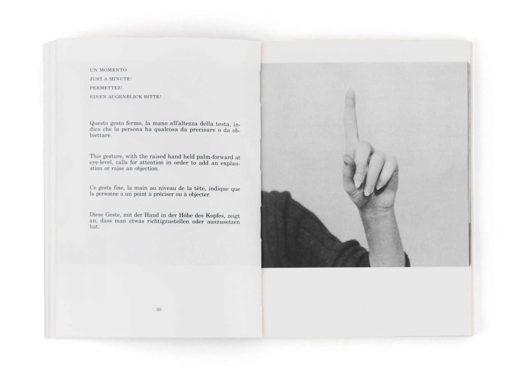 Supplemento al dizionario italiano