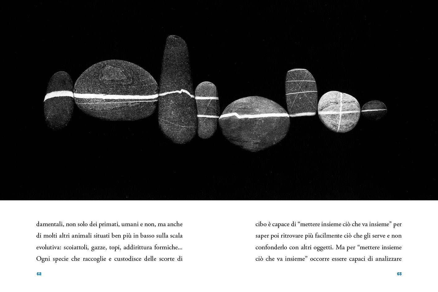 Gatti, cappelli, elefanti e sorprese