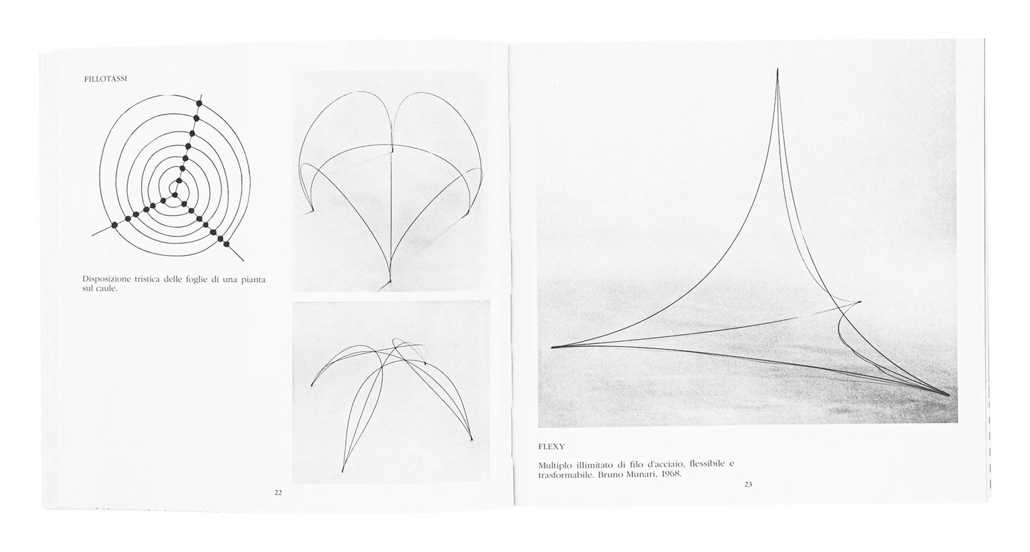Il triangolo