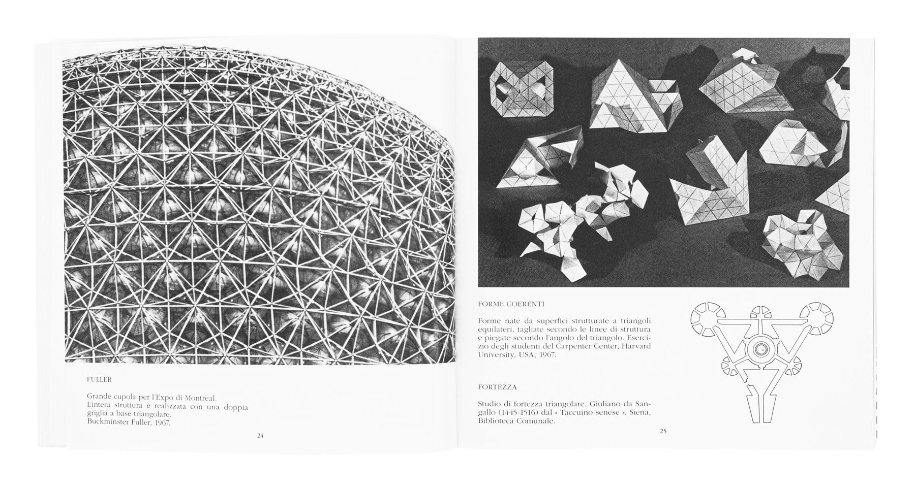 Il triangolo