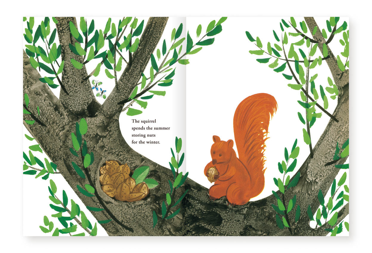 Bruno Munari's Zoo