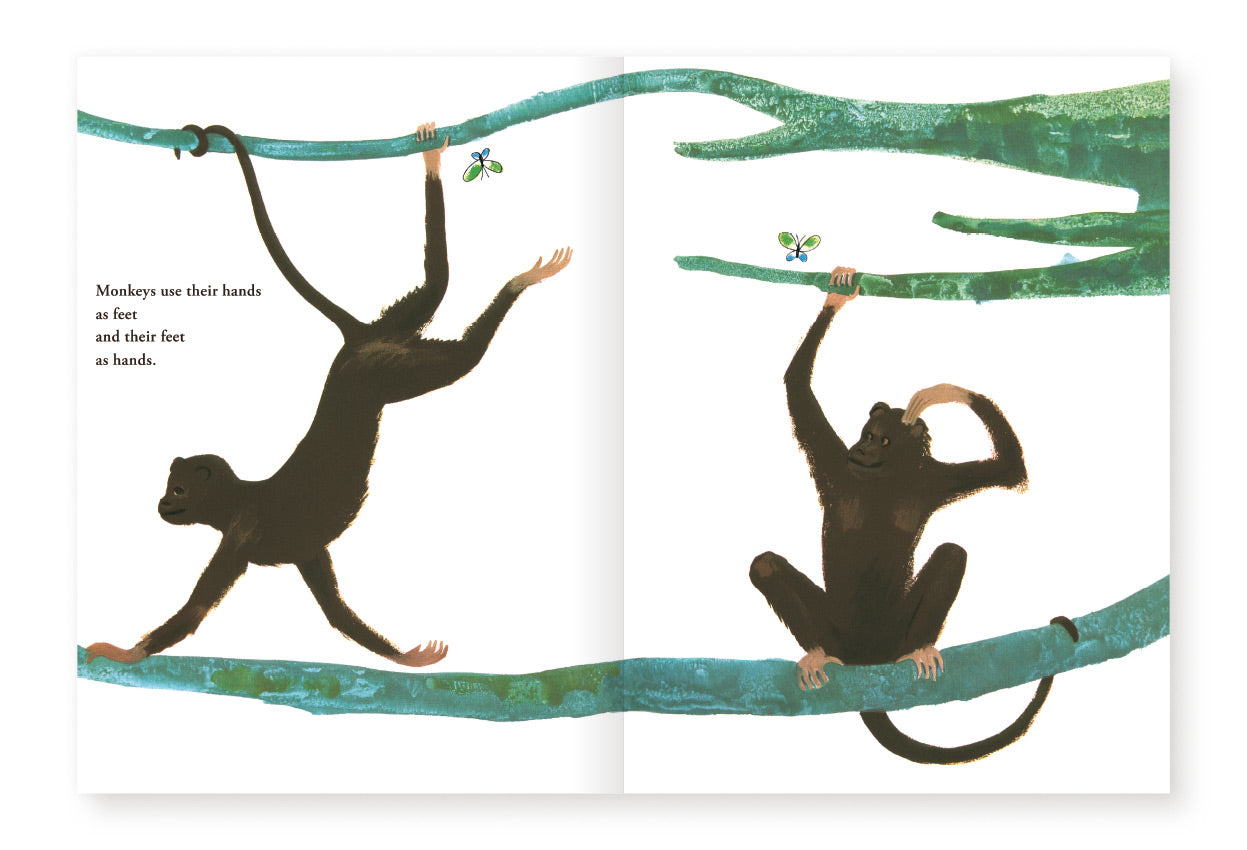 Bruno Munari's Zoo