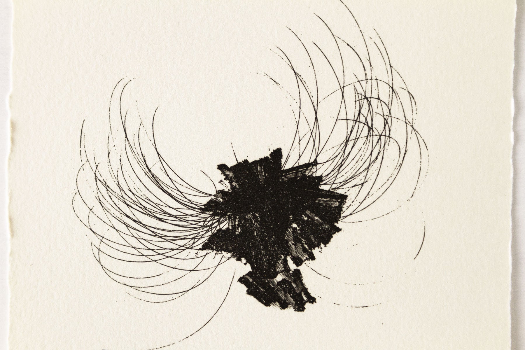 Prima del disegno E