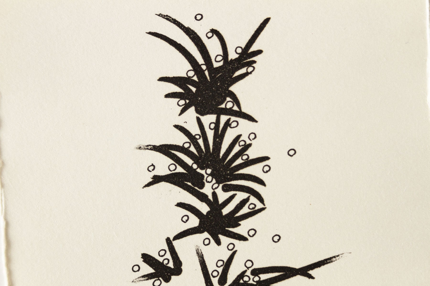 Prima del disegno D
