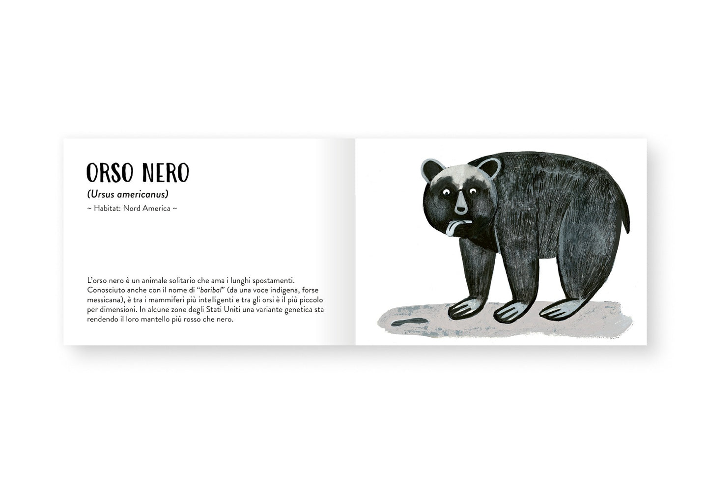 Il piccolo libro degli animali neri
