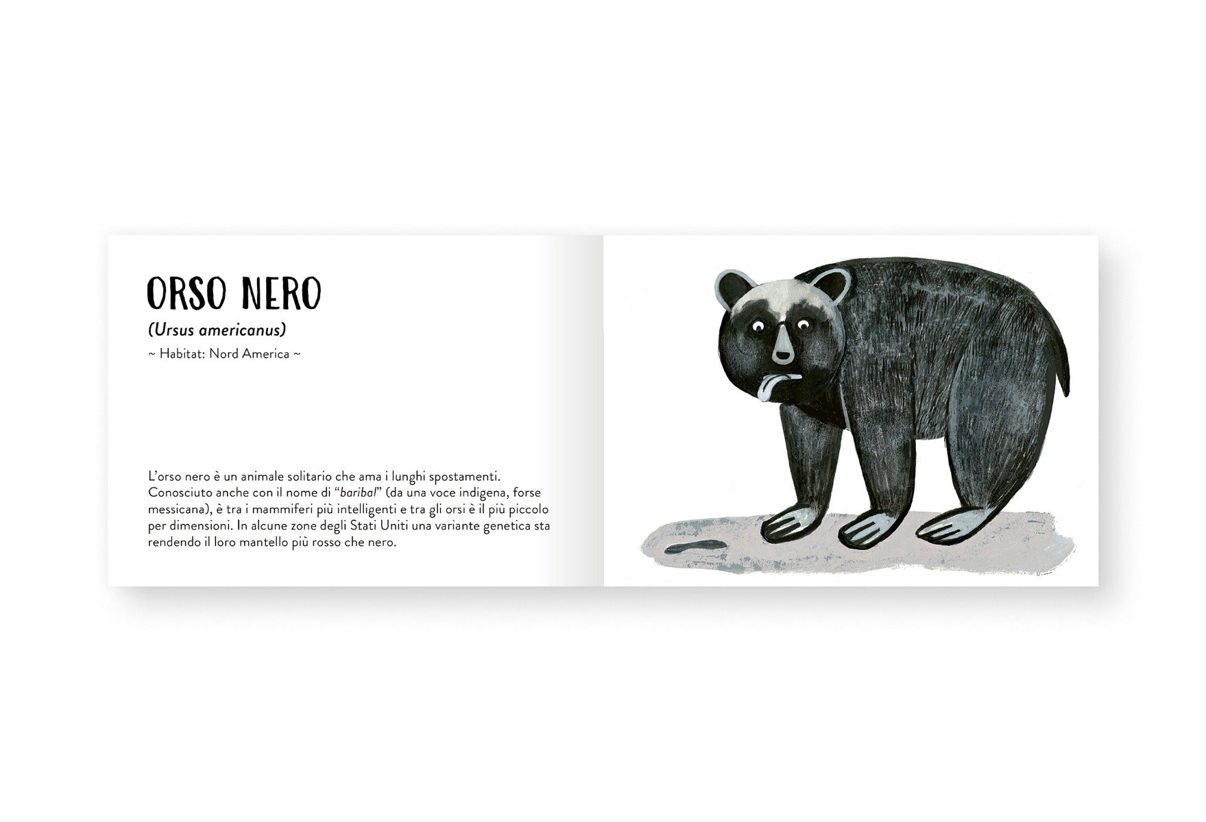 Il piccolo libro degli animali neri