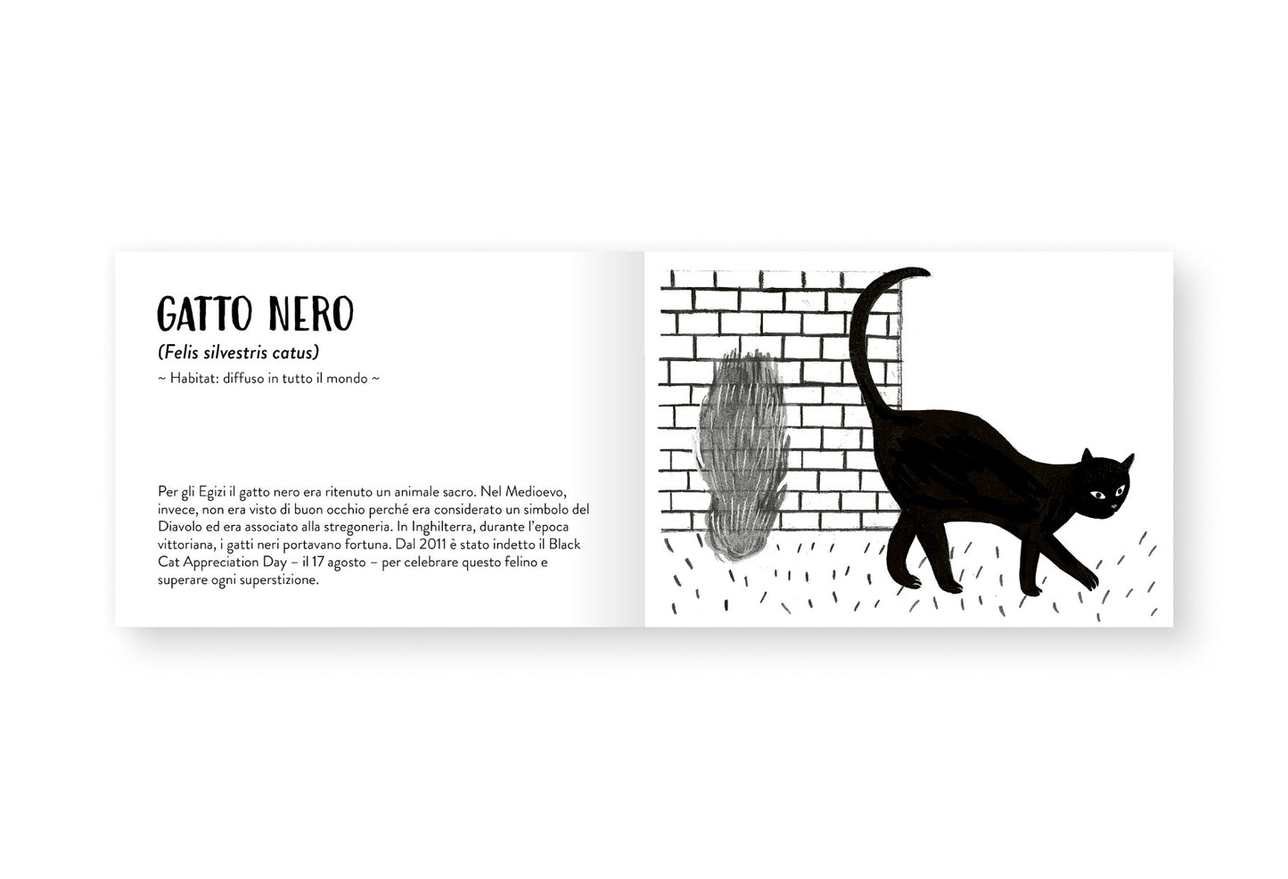 Il piccolo libro degli animali neri