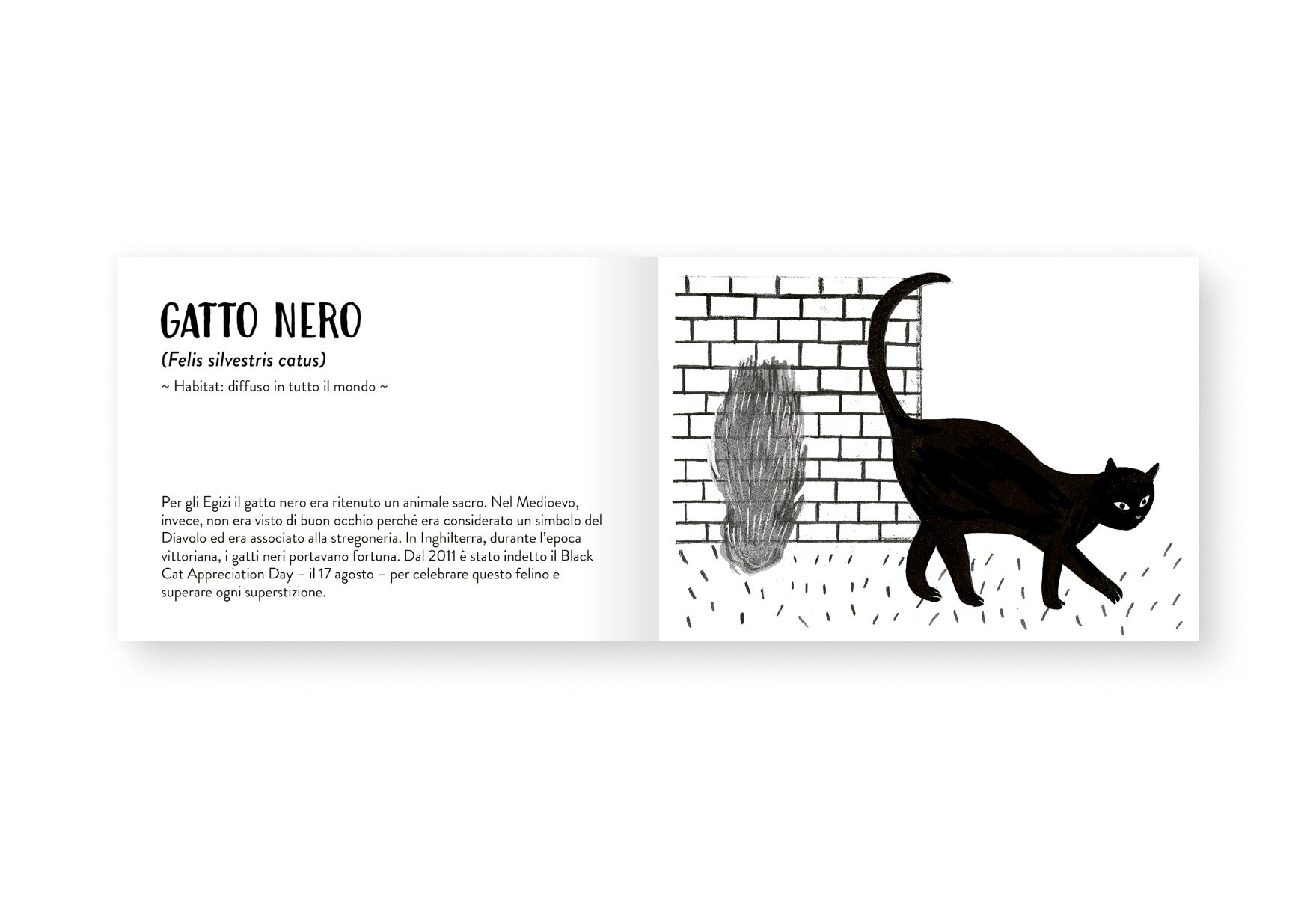 Il piccolo libro degli animali neri