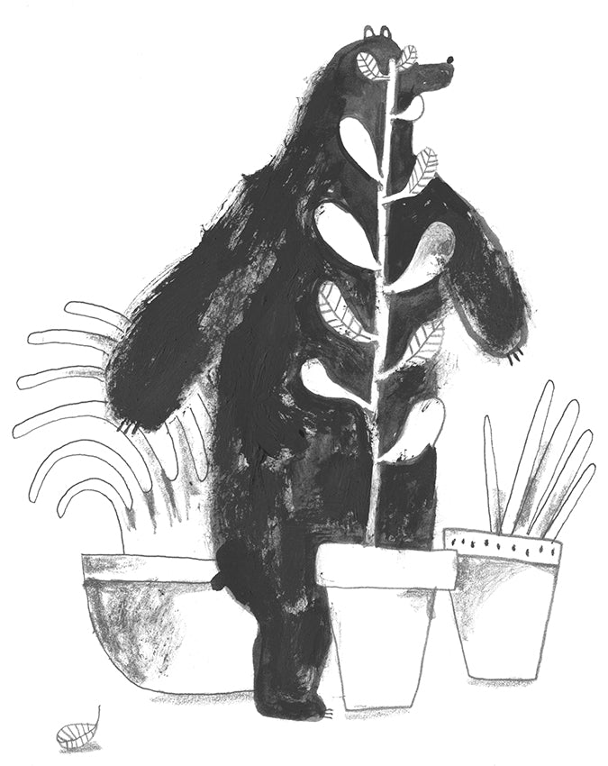Un orso sullo stomaco