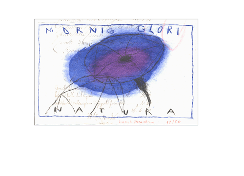 Nel disegno A