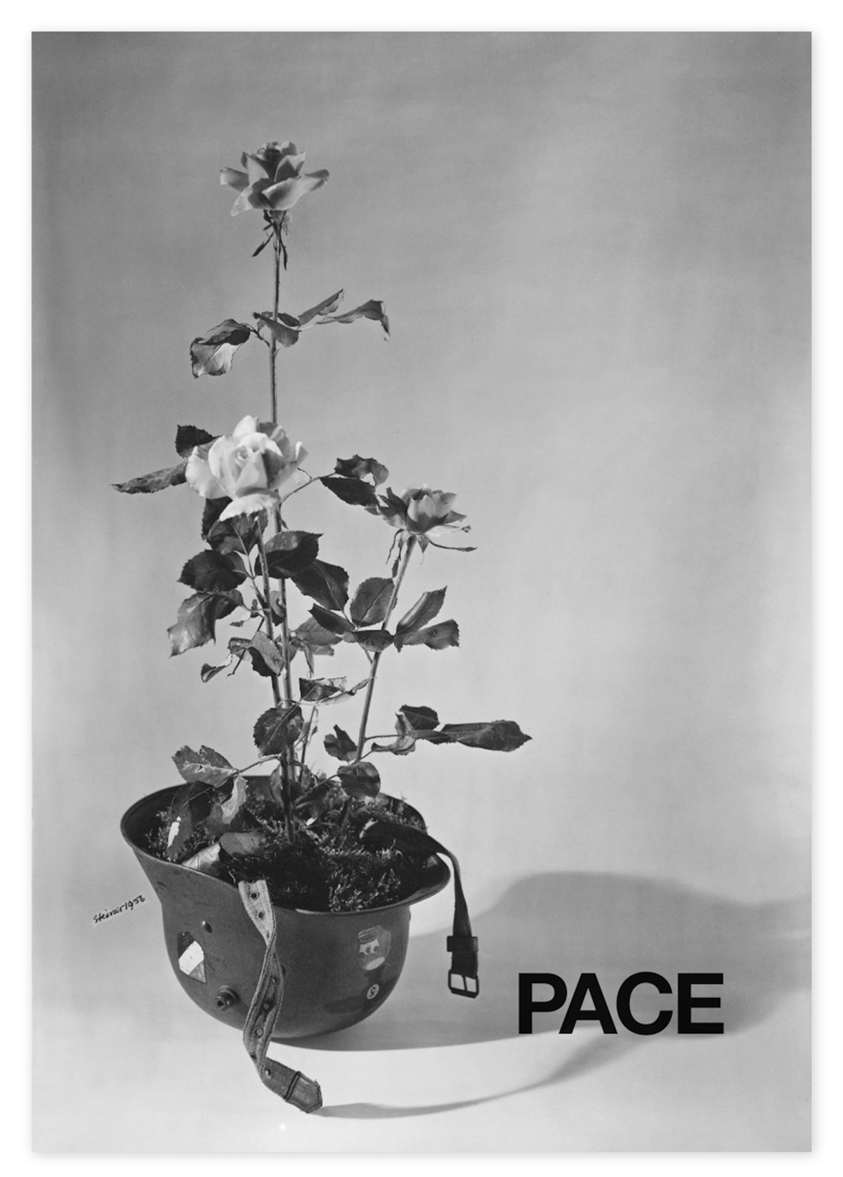 Manifesto per la Pace 1956-2004