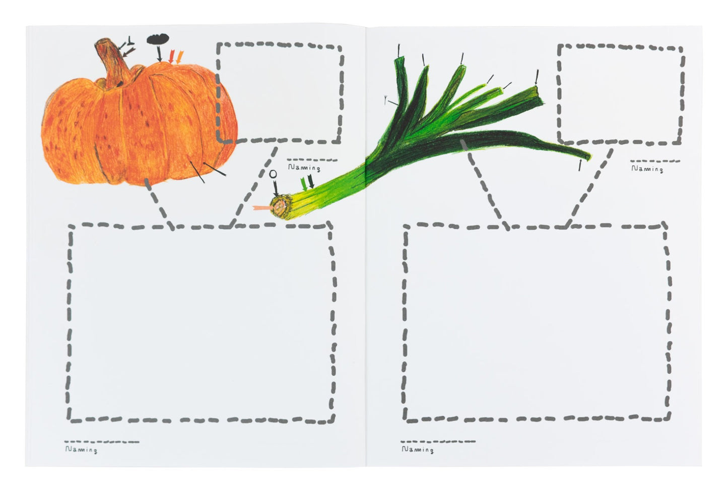 R&D Book