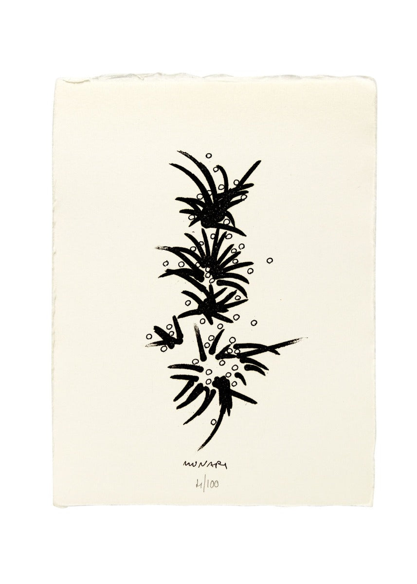 Prima del disegno D