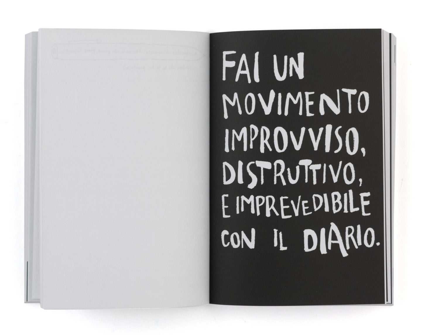 Distruggi questo diario (grande)